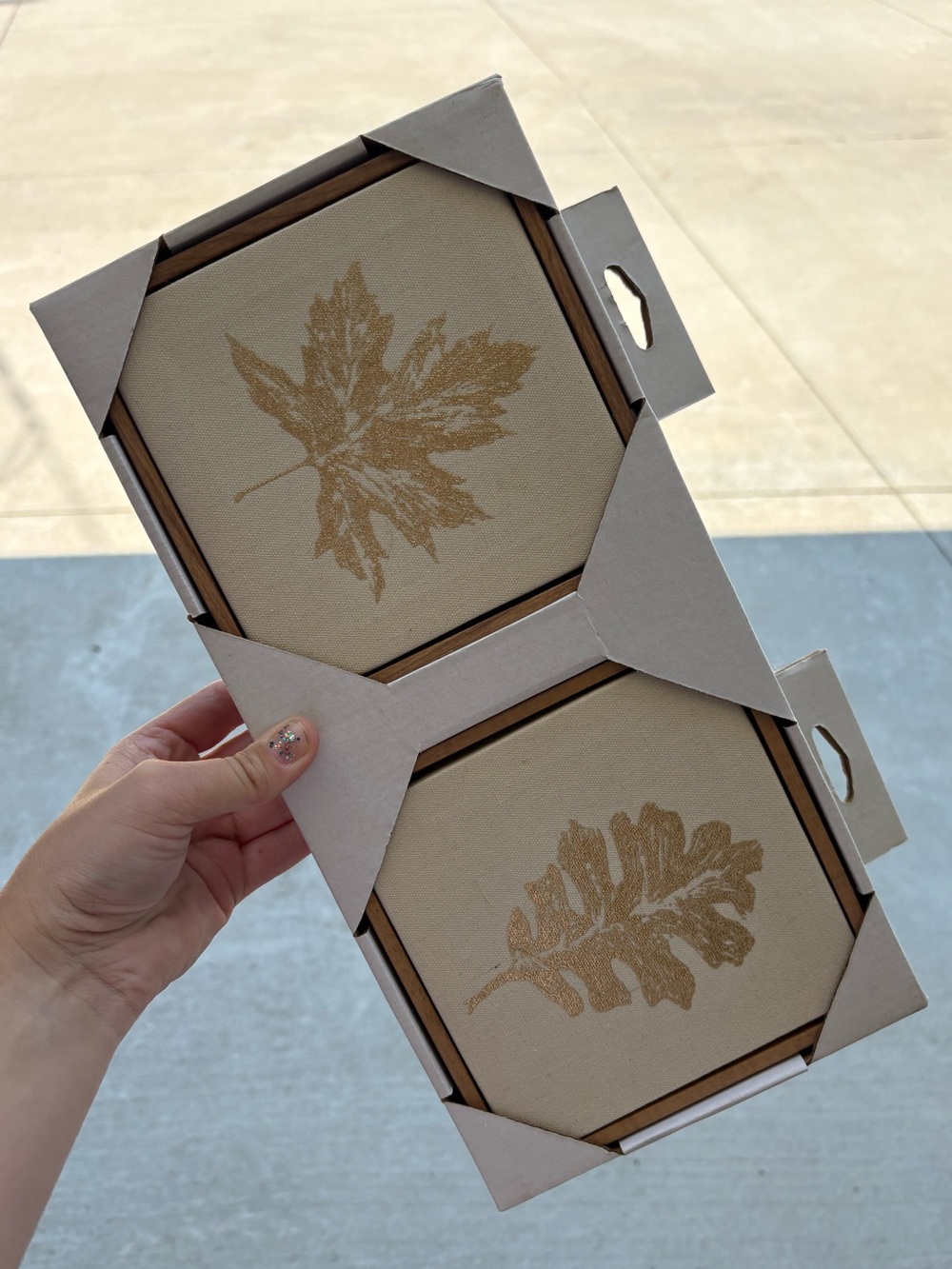 NEW THRESHOLD FRAMED GOLD EMBELLISHMENT LINEN FRAMES (NWT)